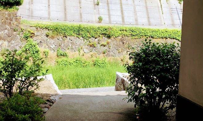 Home stay inn hanare with cats