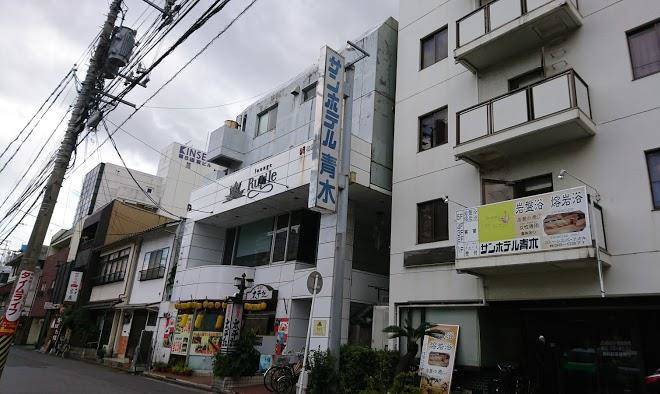Sun hotel aoki