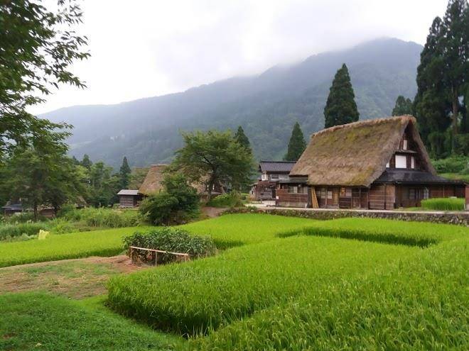 Minshuku goyomon