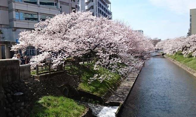 Toyama manten hotel
