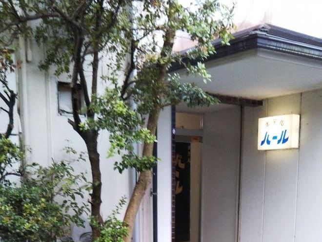 Business hotel pearl