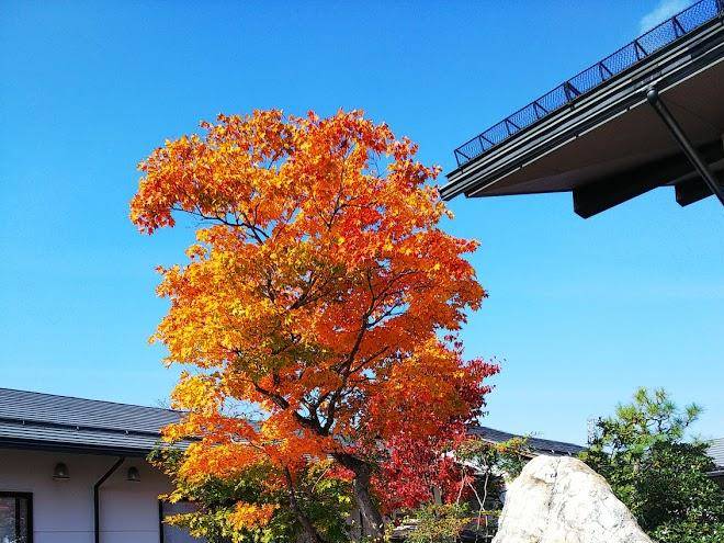Ryokan matsuuraya