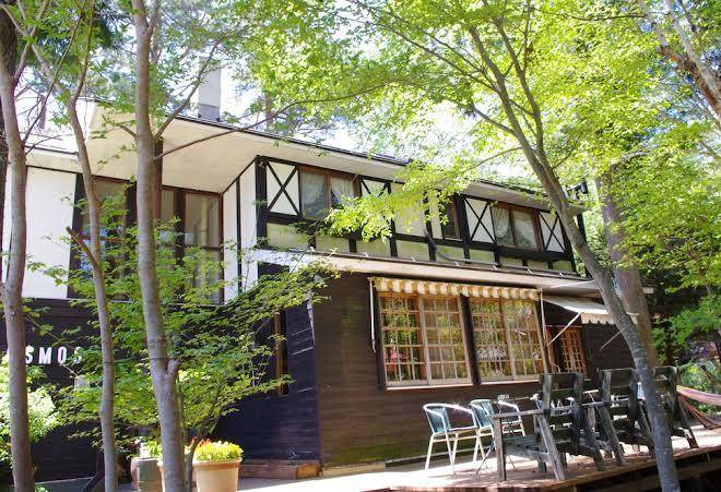 Forest resort cosmos