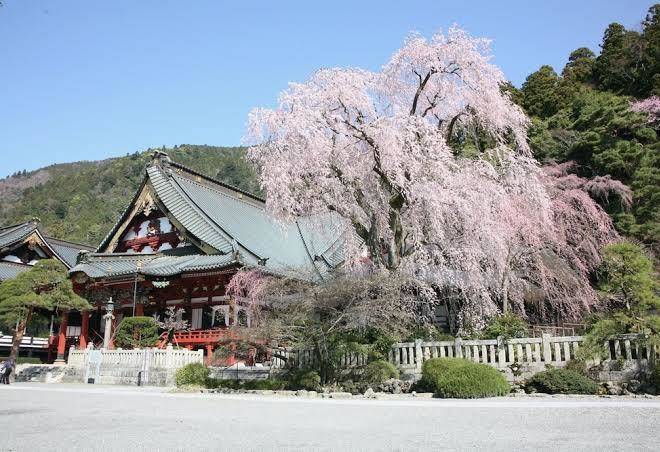 Temple Hotel Habanobo Image