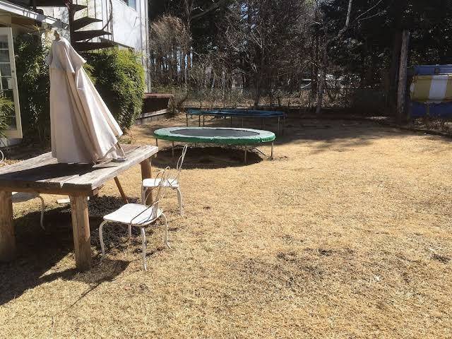 Fujitomita