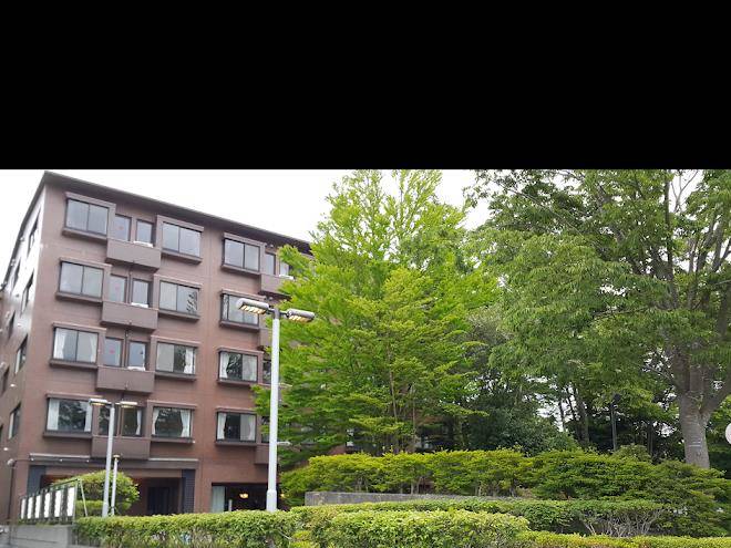 Hotel alexander royal resort yamanakako