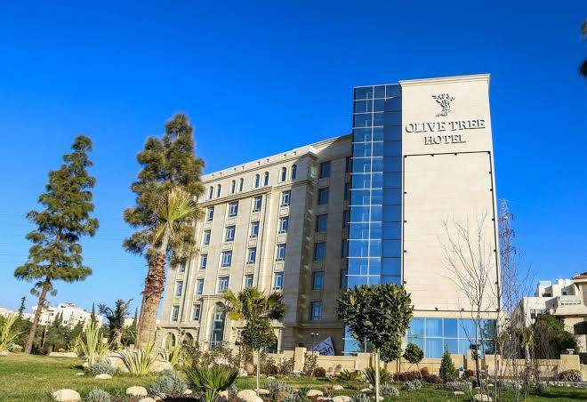 Swiss international olive tree amman
