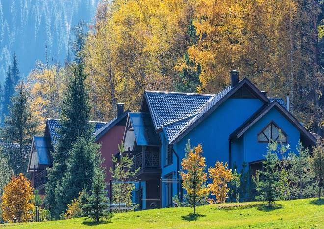 Oi Qaragai Lesnaya Skazka Image