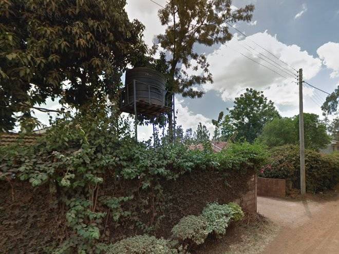 Serempo gardens