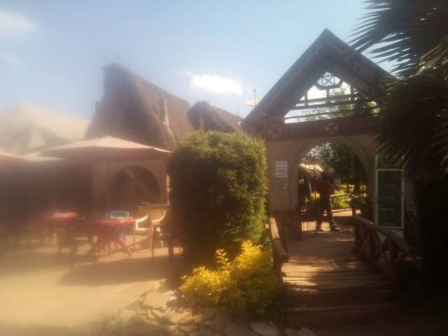 Roots resort
