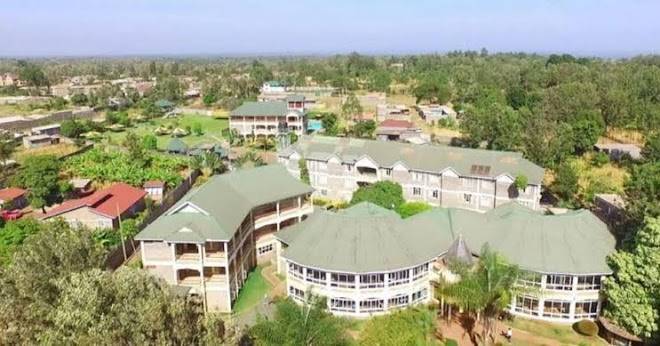 Golden palm breeze hotel