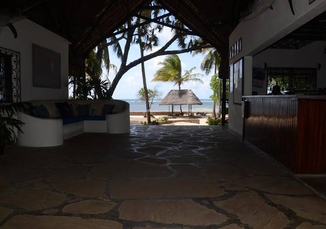 Driftwood malindi