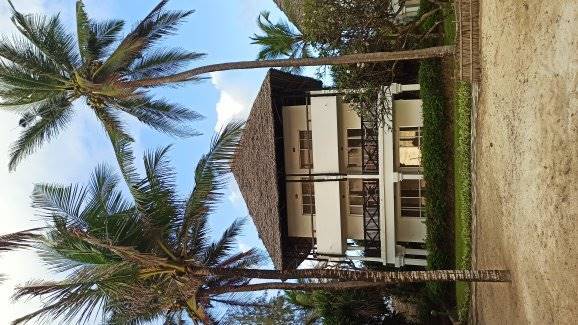 Turtle bay hotel