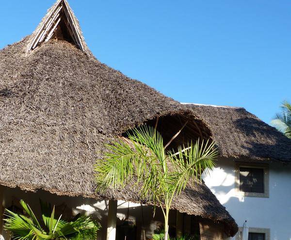 Coconut grove diani beach