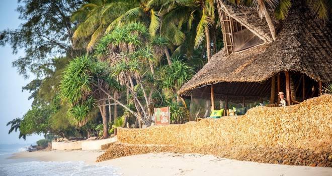 Mbuyu beach bungalows
