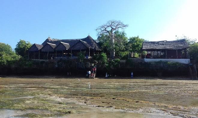 Wasini island bandas