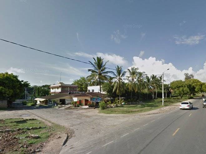 Palm city