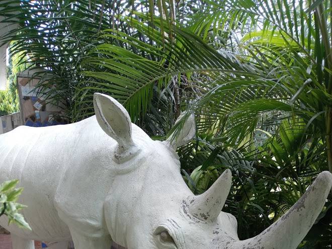 White rhino hotel