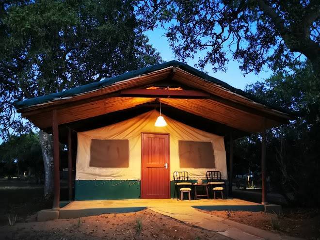 Sentrim tsavo east