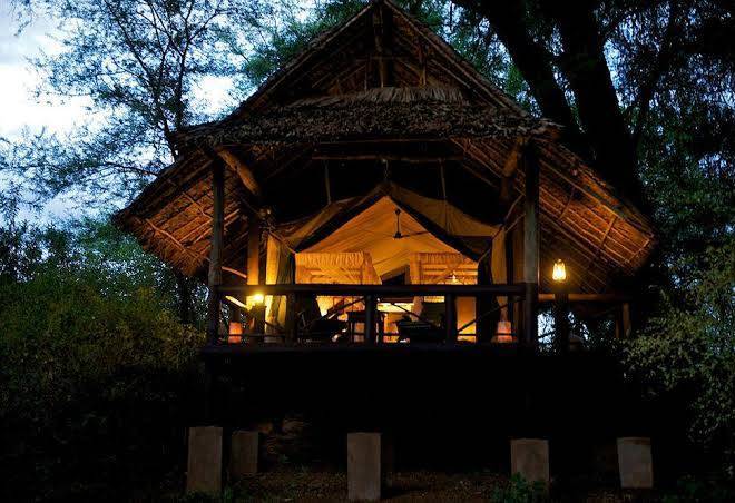 Samburu intrepids