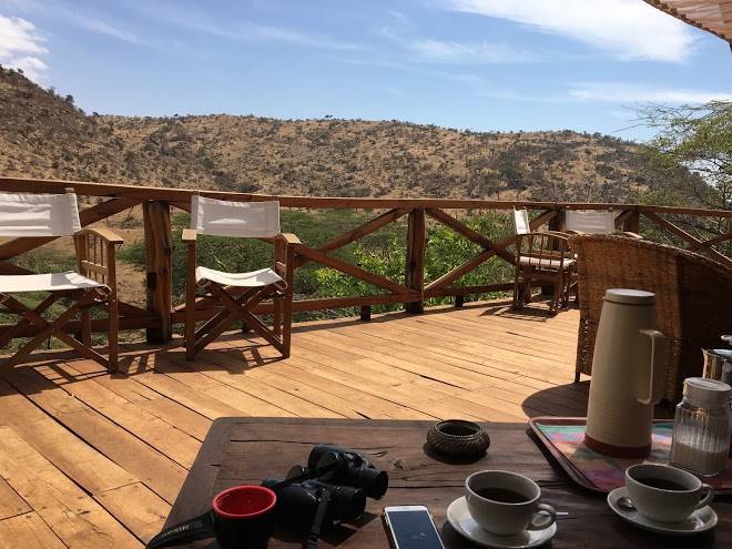 Lewa wilderness