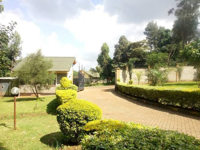 Forest breeze gardens