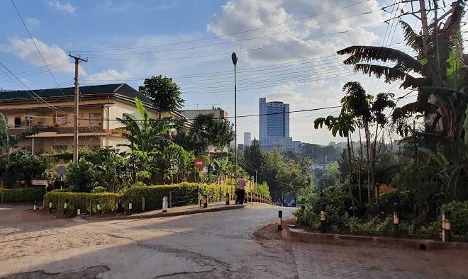 Mvuli suites