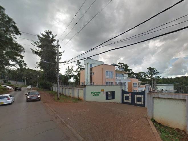 Westlands backpackers