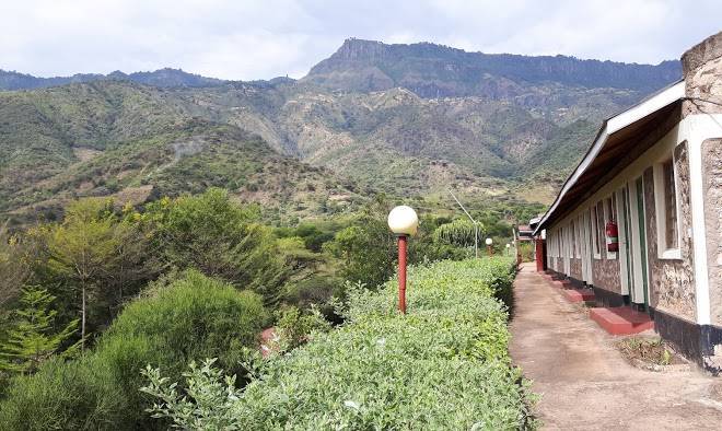 Sego safari lodge