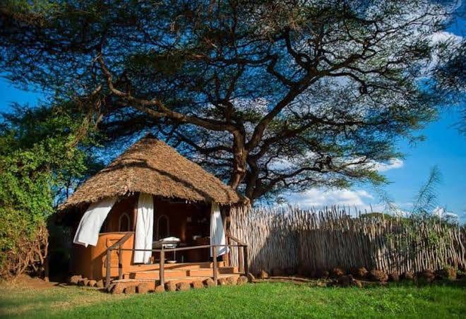 Tawi lodge