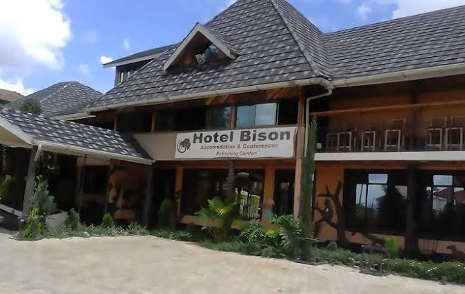 Hotel bison