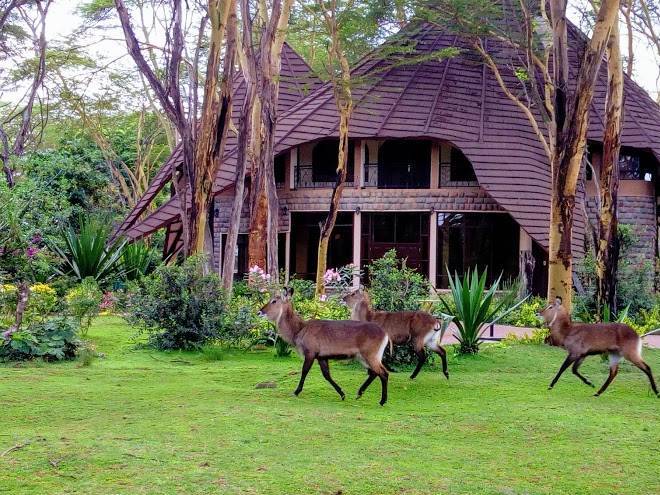Lake naivasha sopa lodge