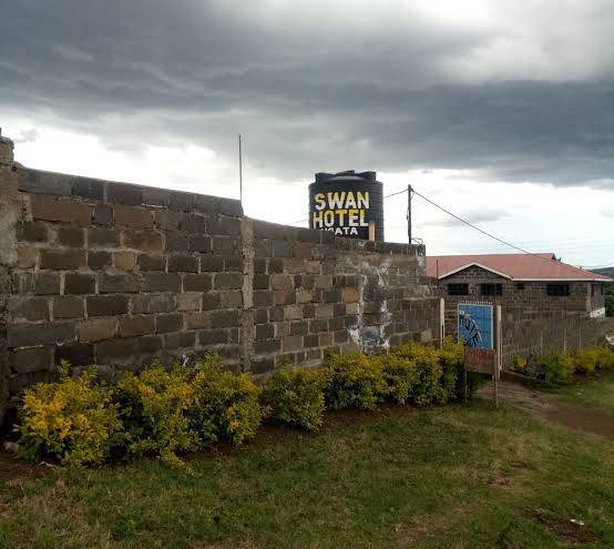 Swan hotel ngata