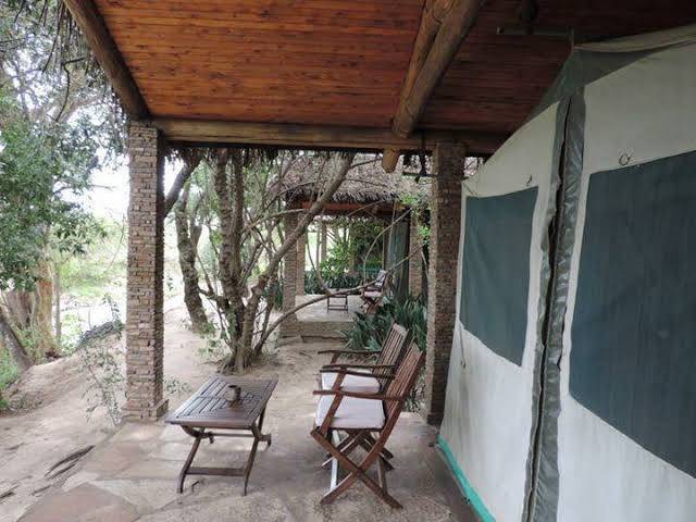 Fig tree camp