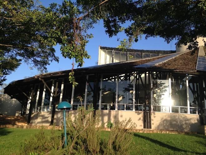 Mpata safari club