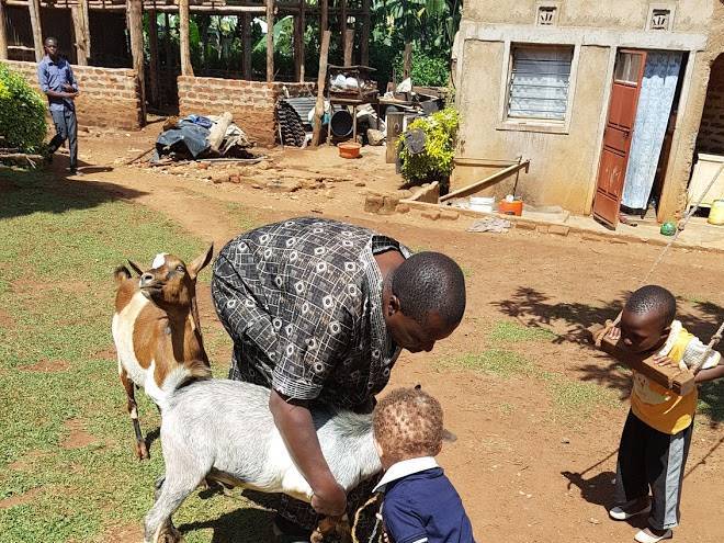 Milimani kakamega