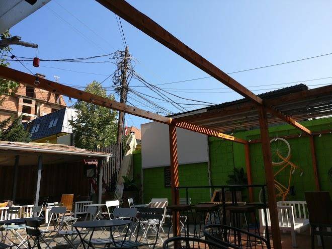 The White Tree Image