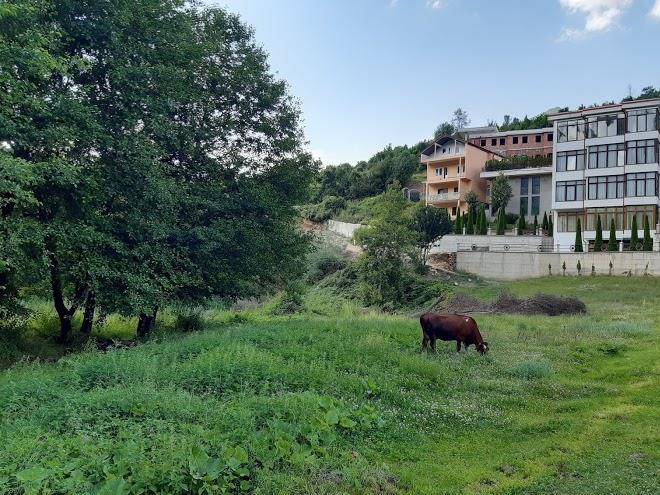Hotel natyra