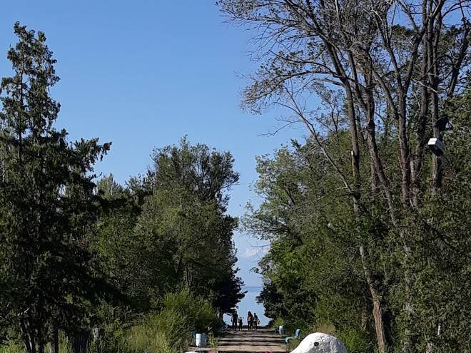 Goluboi issyk kul