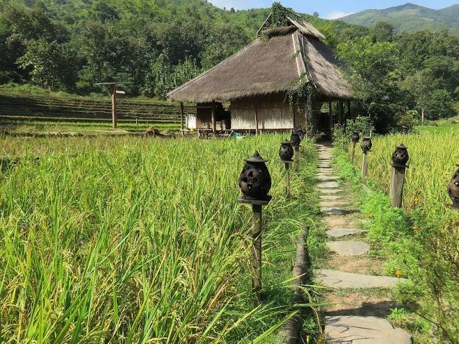 Kamu lodge