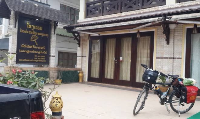 Golden Parasol Image