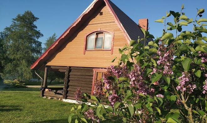 Atputas Vieta Kisi Image