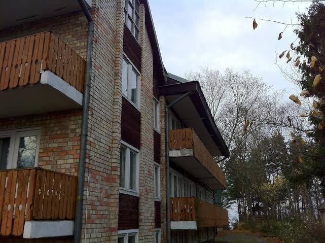 Zvaigzne ik viesnica