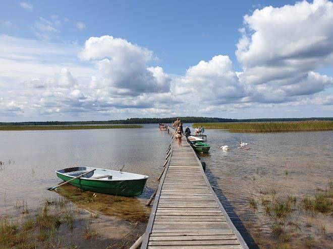 Muiznieki