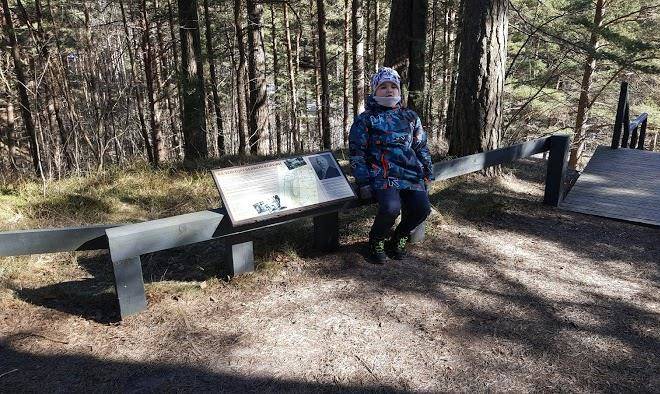 Lini Viesu Maja Image