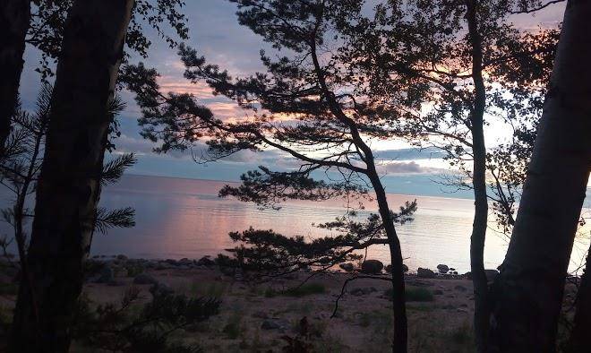 Atputas majas rozu akmens