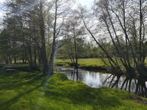Brivdienu maja strazdi