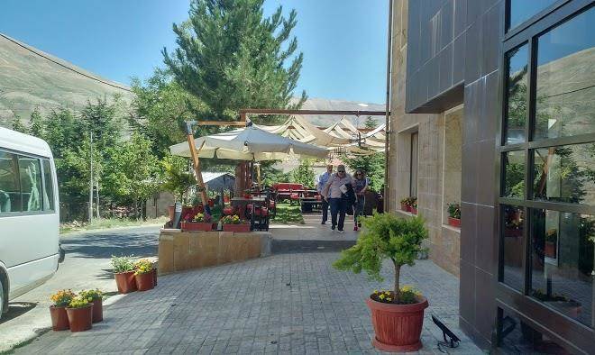 Al arz cedrium