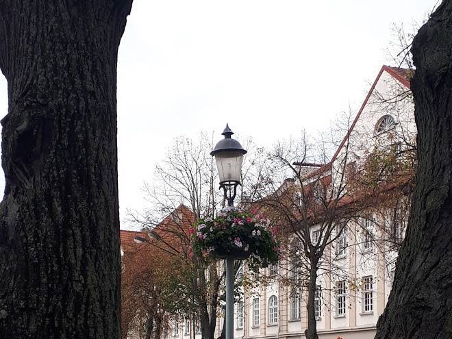 Miesto Kirpykla D Andruskienes Imone Image