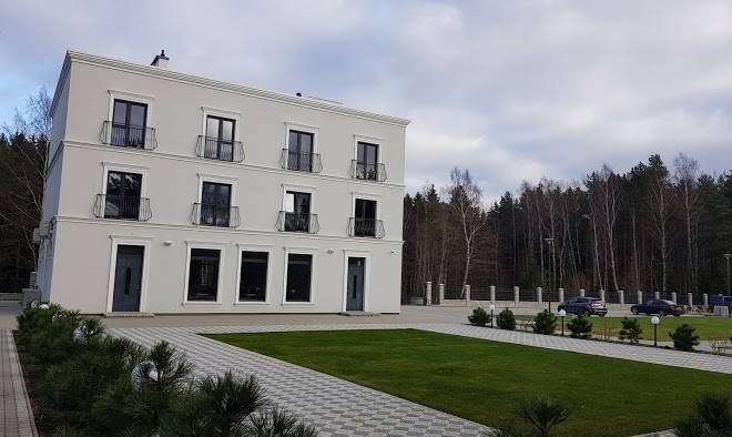 Forest palanga